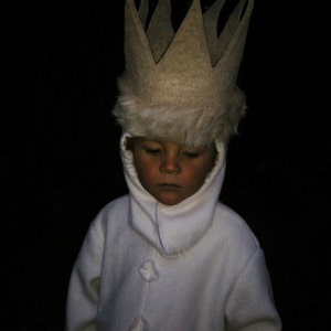 Max Where the Wild Things are Halloween Costume Wild Things MAX Kids Costume for Boys, children, toddler suit and hood image 5