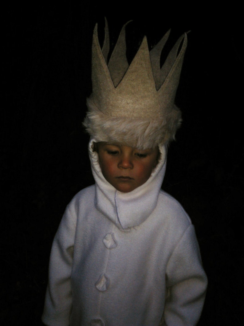 Max Where the Wild Things are Halloween Costume Wild Things MAX Kids Costume for Boys, children, toddler suit and hood image 5