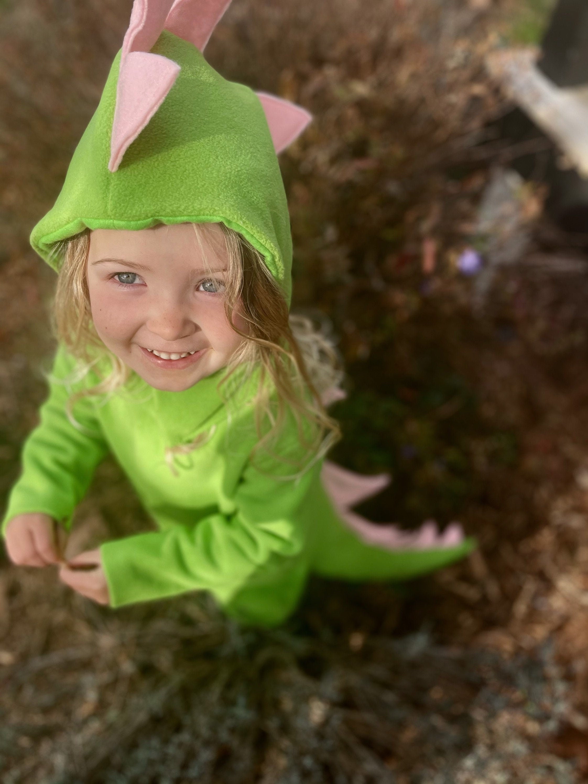 Dinosaur Halloween Costume Toddler Boy Halloween Costume Etsy UK