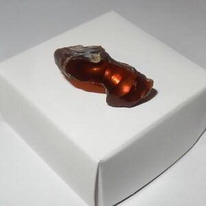 May include: A small, irregularly shaped piece of iridescent agate with a brown exterior and a red and orange interior. The agate is sitting on a white surface.