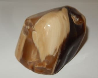 Petrified Wood - PNW polished pet wood