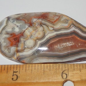 Crazy Lace Agate Large Cabochon Etsy