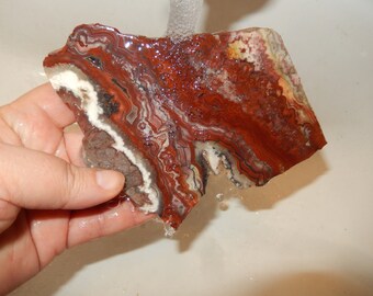 Crazy Lace Agate - rough slab