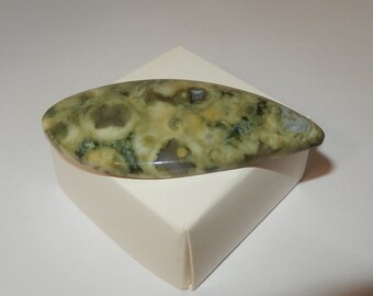 Rainforest Jasper Cabochon