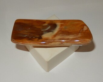 Petrified Wood - PNW polished pet wood