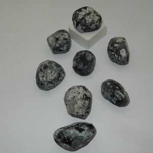 May include: A collection of eight dark gray, irregularly shaped stones with white and light gray patches. One stone rests on a small white square. The stones are scattered on a white surface.
