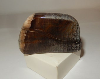 Petrified Wood - PNW polished pet wood