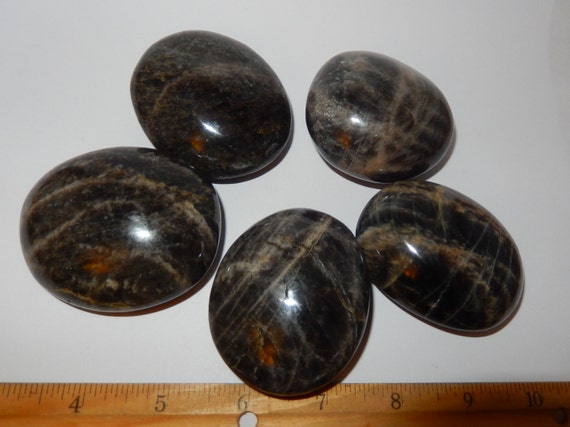 Black Moonstone Palm