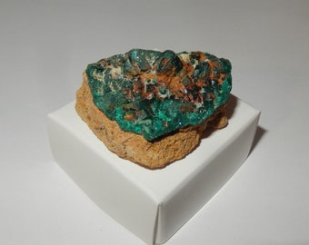 Dioptase Cluster