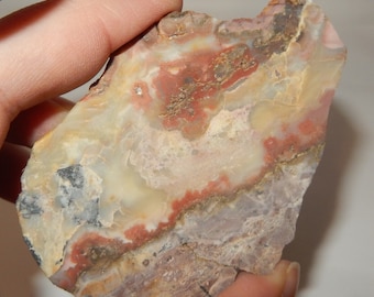 Mexican Lace Agate slab- rough