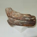 see more listings in the shells/fossils section