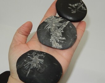 May include: Three black, round, smooth stones with white, feathery patterns. The stones are arranged in a row on a hand.