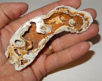 Fossilized Coral replaced by agate/chalcedony