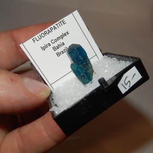 May include: A small, dark blue fluorapatite crystal in a black display box with a white label that reads "FLUORAPATITE Ipira Complex Bahia Brazil".