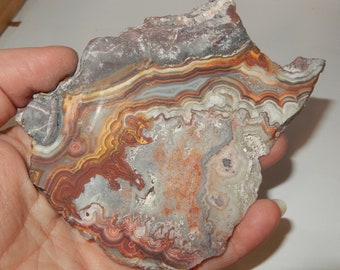 Crazy Lace Agate - rough slab