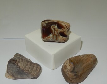 Petrified Wood set of 3 pieces