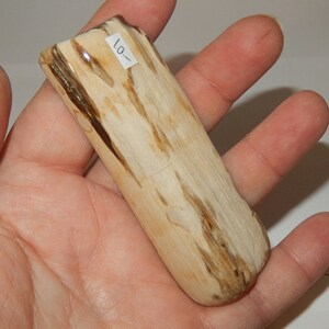 Petrified Wood PNW polished pet wood image 2