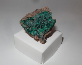 Dioptase Cluster