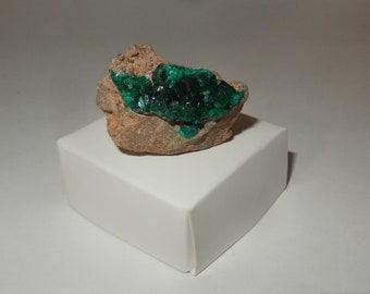 Dioptase Cluster