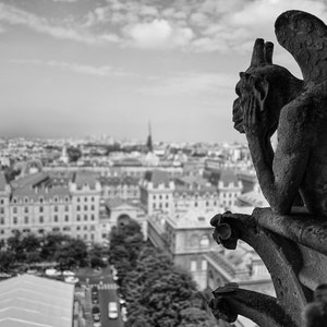 Eiffel Tower from Notre Dame