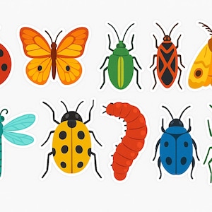 Bugs Stickers. Pack of 10-Medium Size Stickers.