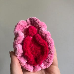 PDF Pattern Vulva with Clitoris No-Sew Crochet Toy Amigurumi Sex Anatomic Handmade Plushy Decor Tutorial