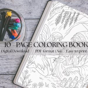 Fairy Coloring Pages for Kids Fairy Coloring Pages for Adults 10 Magical Printable Sheets Fantasy Forest PDF Art