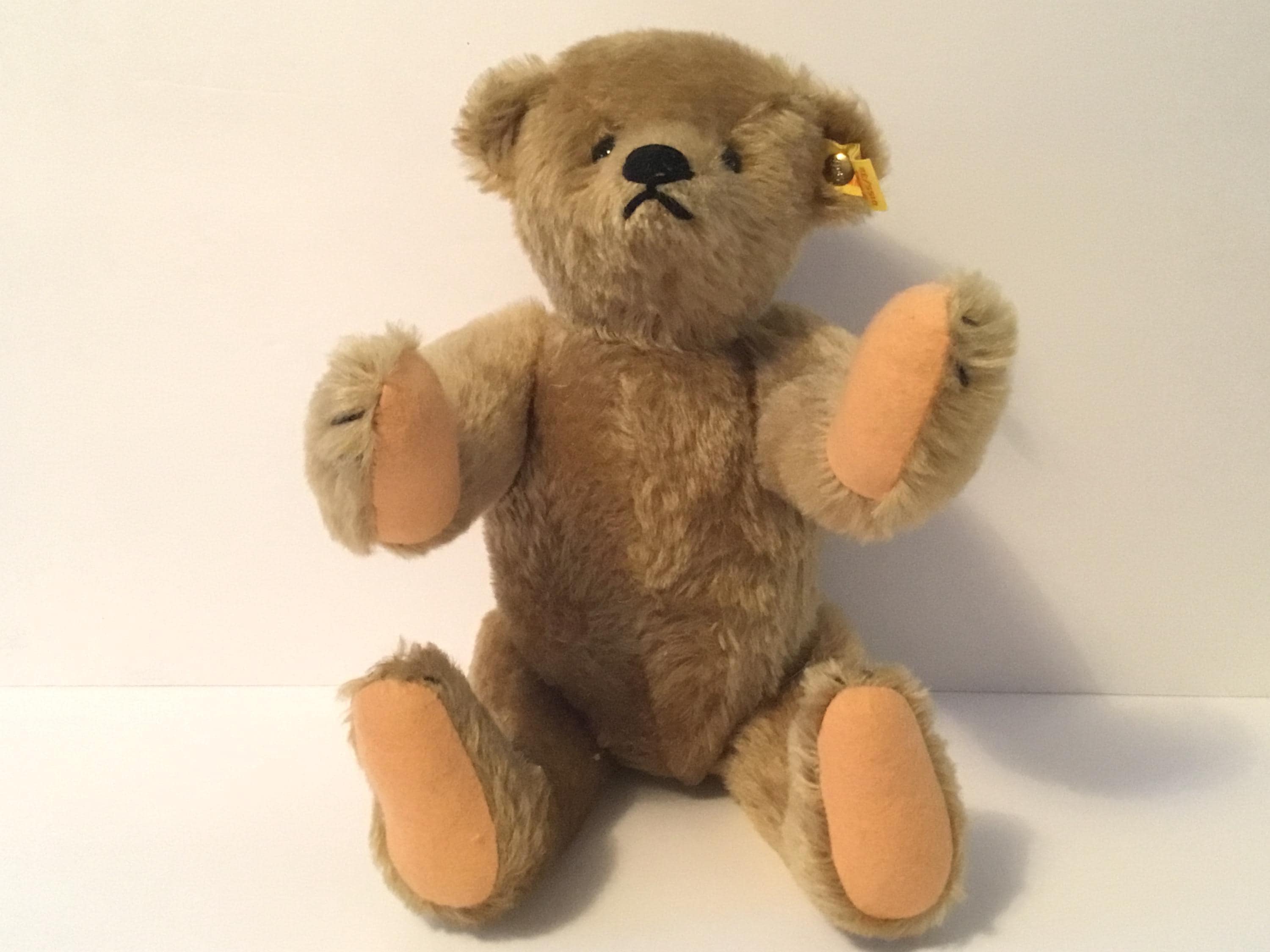 Steiff Button in Ear - Etsy