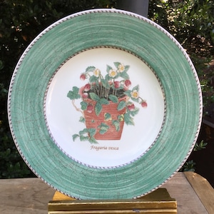 4 Wedgwood Sarah&#39;s Garden Salad Plates 8 1/4&quot;