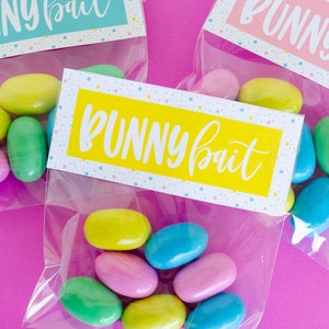 Easter Bunny Bait PRINTABLE Tags on Love The Day Instant Download image 2