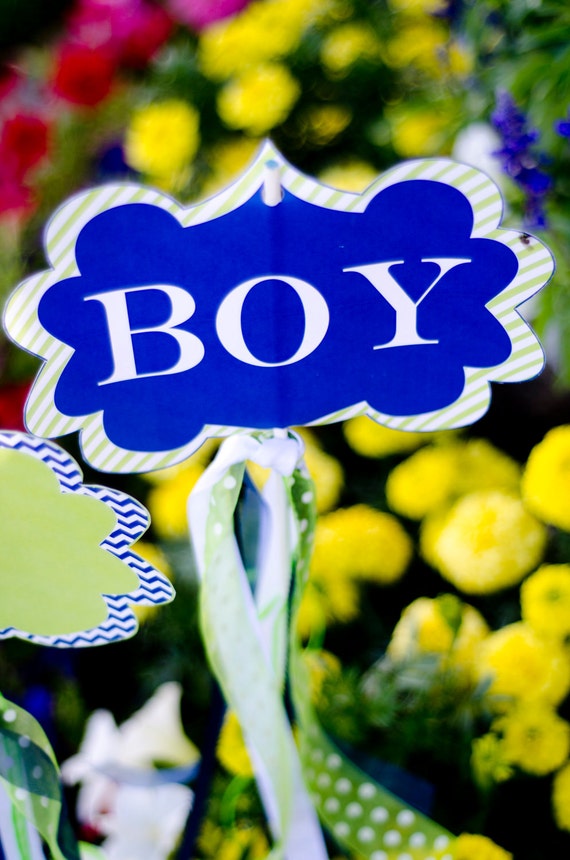 Its A Boy Kid Shower PRINTABLE Garden Signs or symptoms (Instantaneous image regarding Printable Yard Signs called Its A Boy Kid Shower PRINTABLE Backyard Symptoms (Fast