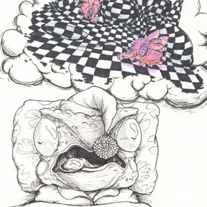 May include: A black and white checkered pattern with pink and white creatures flying above it. The pattern is inside a cloud and a creature with a sleeping cap is lying on a pillow with a floral pattern.