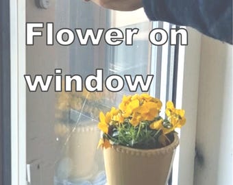 Flowers on Window Glass, Suction Planter Holder, Shower Door Pot, Bathroom Tiles Decor,  Hanging Vase Display, Propagation Station Decor