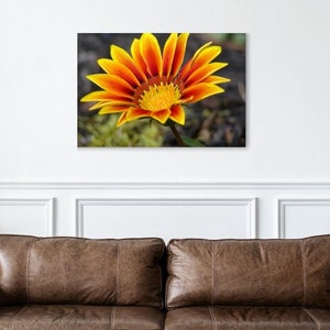 Fall Sunflower Photo, Sunflower wall art, photograph of orange sunflower, sunflowers artwork, canvas sunflower, Photography Canvas Print