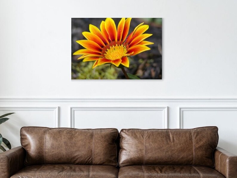 Fall Sunflower Photo, Sunflower wall art, photograph of orange sunflower, sunflowers artwork, canvas sunflower, Photography Canvas Print