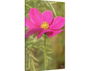 Pink Flower Photograph, pink flower and green stem wall art, Photography on Canvas Print