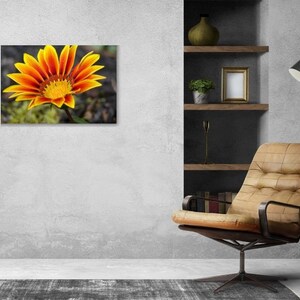 Fall Sunflower Photo, Sunflower wall art, photograph of orange sunflower, sunflowers artwork, canvas sunflower, Photography Canvas Print