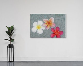 Flowers Floating in Water Photo, pink and white flowers art print, plumeria flowers wall art, three flowers in pool Photography Canvas Print