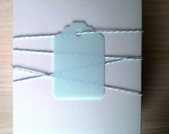 Mint Green Vellum Gift Tags / Translucent gift tags / Vintage style gift tag / Hang Tag - Scrapbooking - Crafting - Set of 10