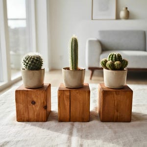 May include: Three green cacti in light beige ceramic pots, each resting on a separate square wooden block. The cacti vary in shape, with one round, one tall and cylindrical, and one cluster of smaller rounded segments, all displayed in a row.