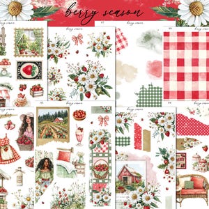 Berry Season Mini Planner Decorative Sticker Kit | Journaling | Bullet Journal | Journal Stickers | Planner Stickers | Summer Stickers