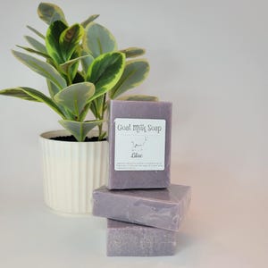 Goat Milk Soap Lilac
