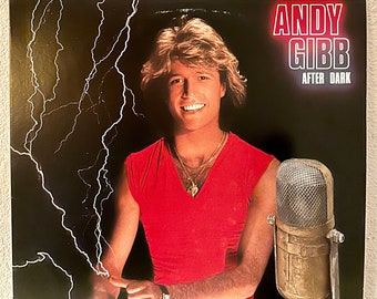 Vintage 1980's Music Andy Gibb "After Dark" Vinyl Record Album LP 80's Pop Soft Rock Easy Listening (1980 RSO w/"Desire","I Can't Help It")