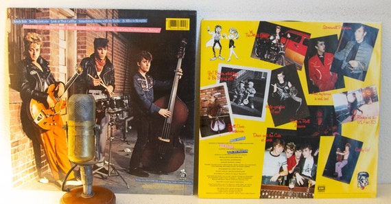 The Stray Cats 