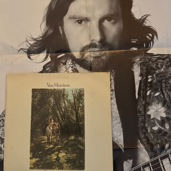 Van Morrison "Tupelo Honey" Vintage Vinyl Album Record LP 1970s Classic Rock Irish R&B Folk Romantic (1973 WB Reissue w/"Wild Night")