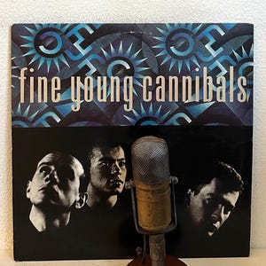 Fine Young Cannibals Vinyl Album Self Titled - Etsy