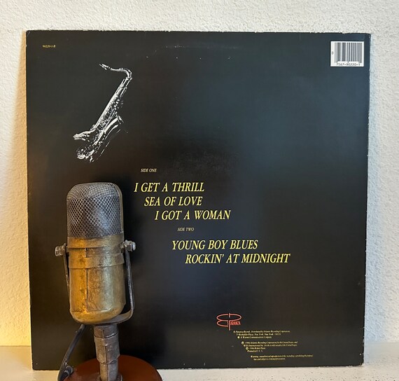 洋楽 Honey Dipp Honey Dipp Style 1995 NJS R&B 洋楽 Honey Dipp Honey Dipp Style 1995 NJS R&B Honey Dipp