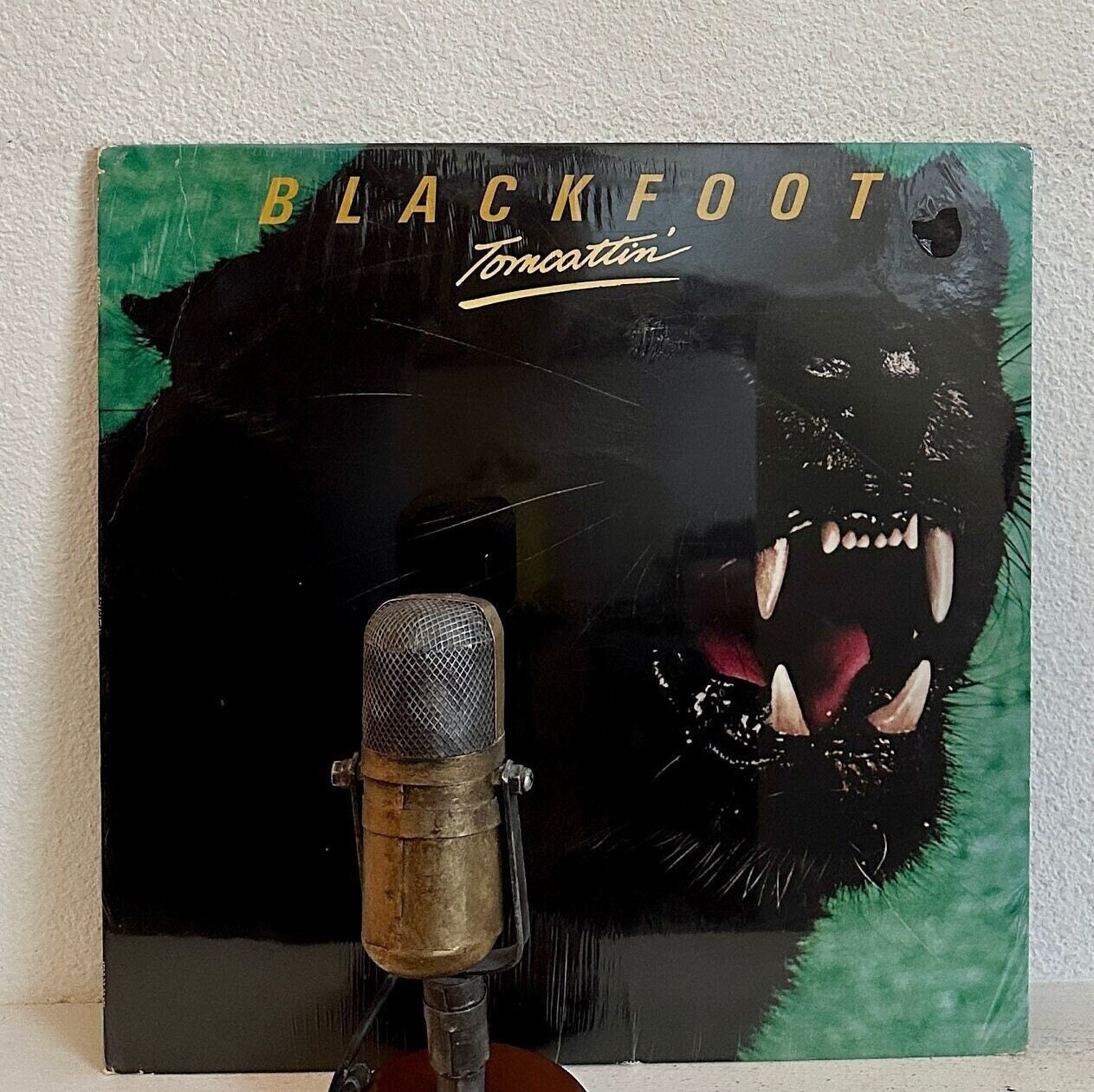 BLACKFOOT /アナログ盤セット