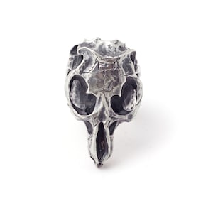Wild Silver Skull Ring, Big Biker Ring, Animal Skull Ring for Men , Silver Skull Statement Ring
