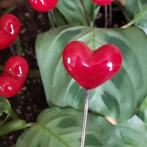 Valentine's Day Heart, Red Puffy Heart Garden Art Sun Catcher Plant Stake Lampwork Glass Puffy Heart image 5